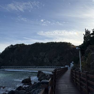 Photo review number 18026 from Mehrona I