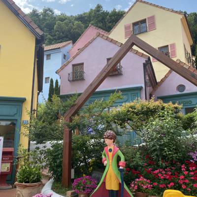 Photo review number 11450 from Maryam P