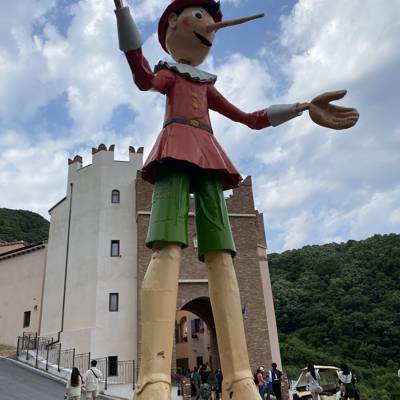 Photo review number 11452 from Maryam P