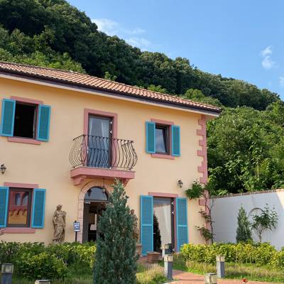 Photo review number 11454 from Maryam P