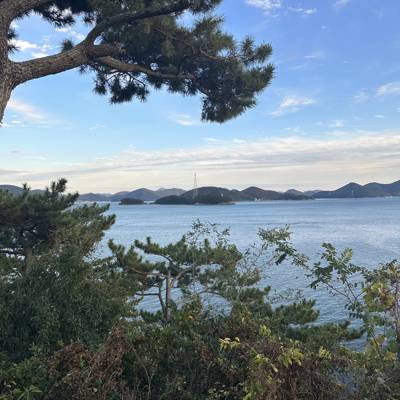 Photo review number 13120 from sura*********@*********