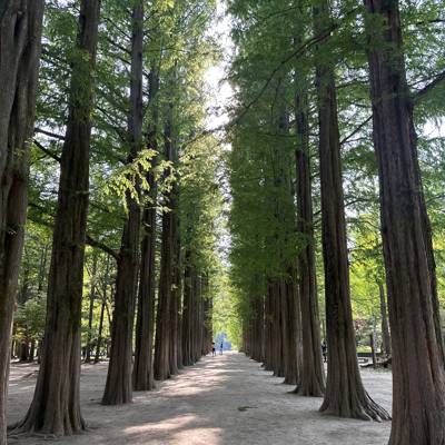 Photo review number 11340 from Brianne D