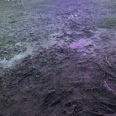 Photo review number 14888 from lady****@***********