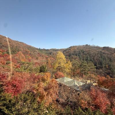 Photo review number 17971 from Amani A