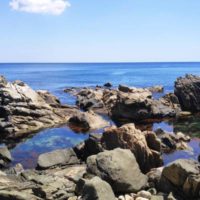 Photo review number 5528 from Ajeet K