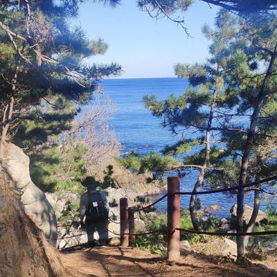 Photo review number 6880 from Kavita B