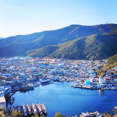 Photo review number 6886 from Kavita B