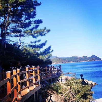 Photo review number 6881 from Kavita B