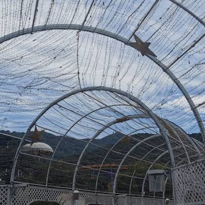 Photo review number 8319 from Jasmin G