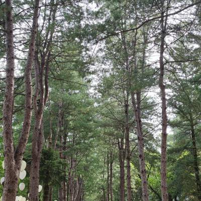 Photo review number 8465 from Karunia T