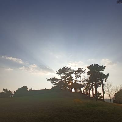 Photo review number 12889 from Charissa P
