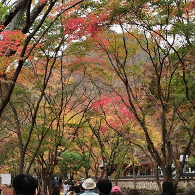 Photo review number 13090 from Fui Khiun T
