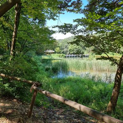 Photo review number 15000 from Patty S