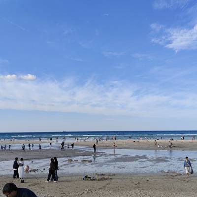 Photo review number 15204 from Camille B