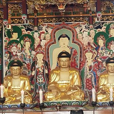 Photo review number 18102 from Rihem S