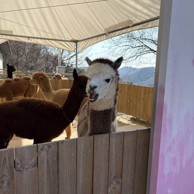 Photo review number 18129 from Gabriela M