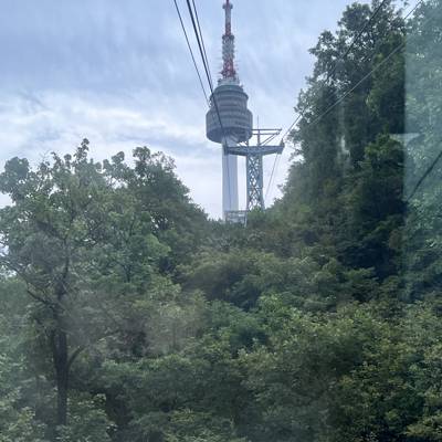 Photo review number 12190 from step********@*********