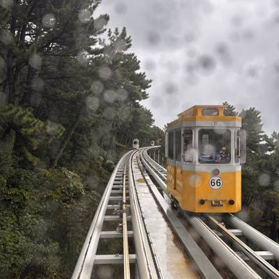 Photo review number 17880 from bami***********@*********