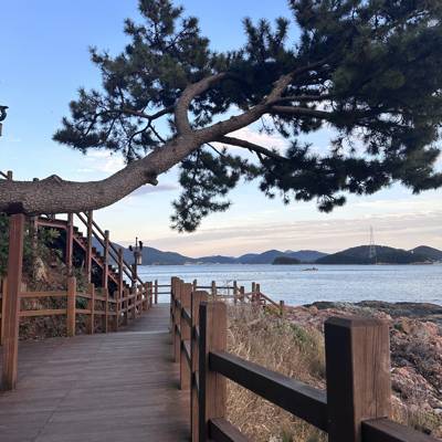 Photo review number 13209 from moum********@*********