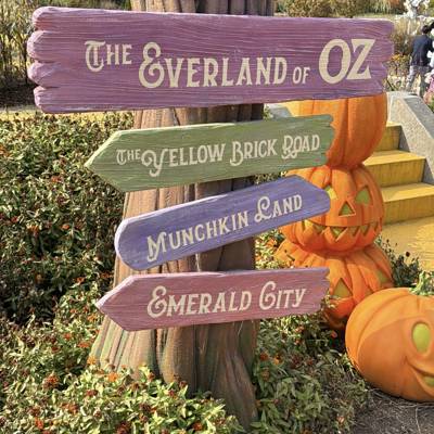 Photo review number 17918 from Maaike N