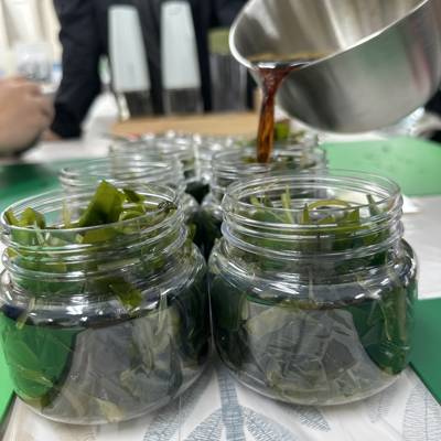 Photo review number 17881 from bami***********@*********