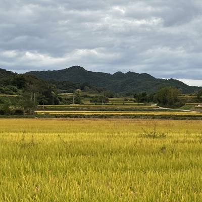 Photo review number 12833 from Arieanna T