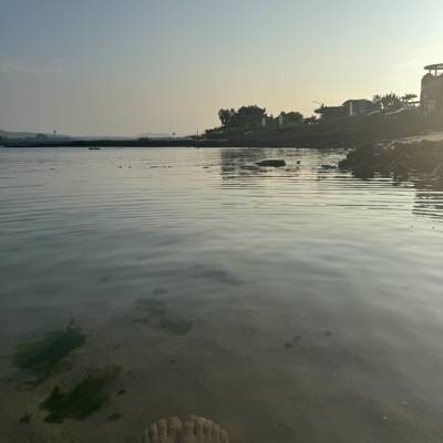 Photo review number 14996 from Amy F