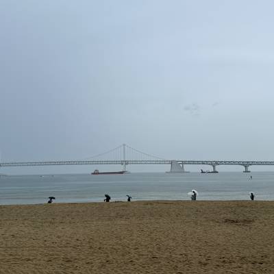 Photo review number 14634 from Vincent Irvin T