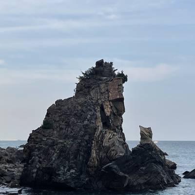 Photo review number 17757 from Lydia O