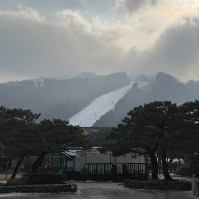 Photo review number 18173 from tony l