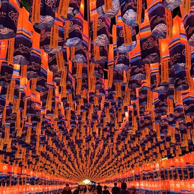 Photo review number 17772 from kore********@*********