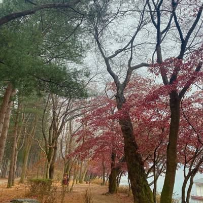 Photo review number 13338 from Natcha S