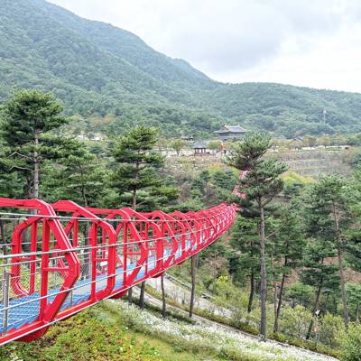 Photo review number 17777 from kore********@*********