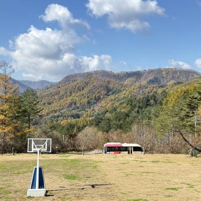 Photo review number 17846 from Michele G