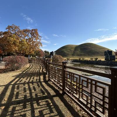 Photo review number 18118 from segr*********@***********