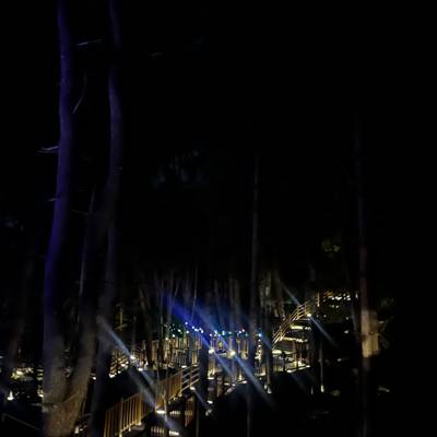 Photo review number 17026 from Disha P