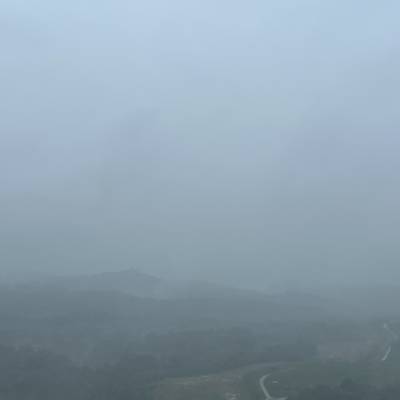 Photo review number 11745 from Daniela M