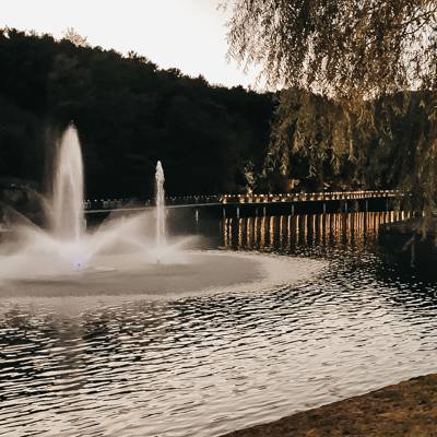 Photo review number 8902 from Antje H