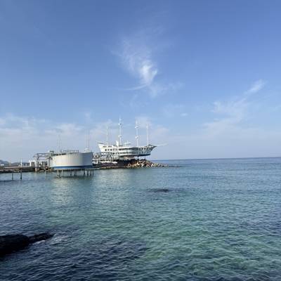 Photo review number 18011 from moni************@**********