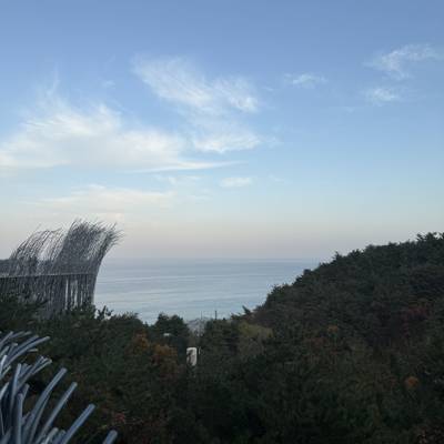 Photo review number 18012 from moni************@**********