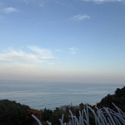 Photo review number 18013 from moni************@**********