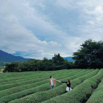 Photo review number 17780 from tieu********@*********