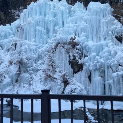 Photo review number 13856 from erik*******@*********