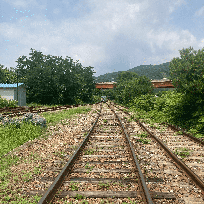 Photo review number 11654 from Eloise M