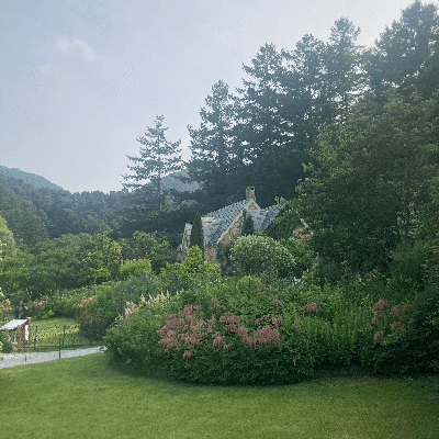 Photo review number 11656 from Eloise M