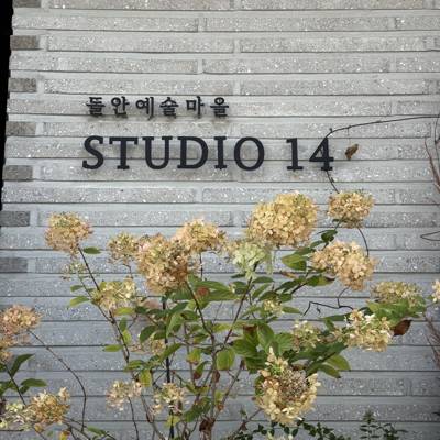 Photo review number 17663 from Hanym S