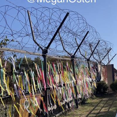 Photo review number 9218 from Megan O