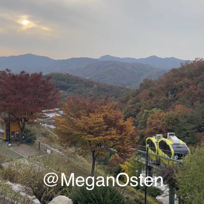 Photo review number 9290 from Megan O