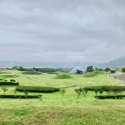Photo review number 6205 from Zeba A