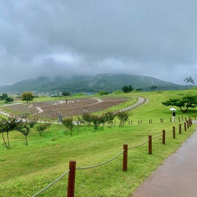 Photo review number 6206 from Zeba A